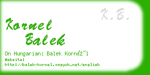 kornel balek business card